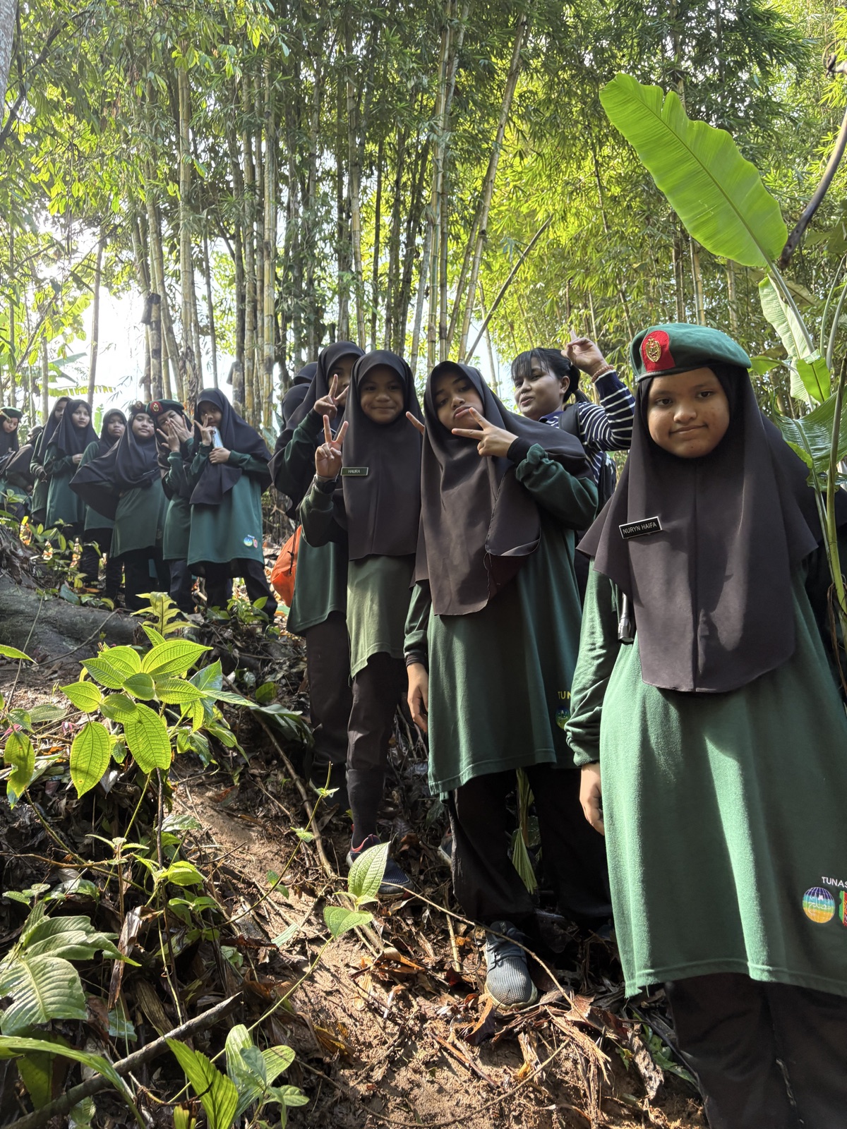 Jungle Trekking
